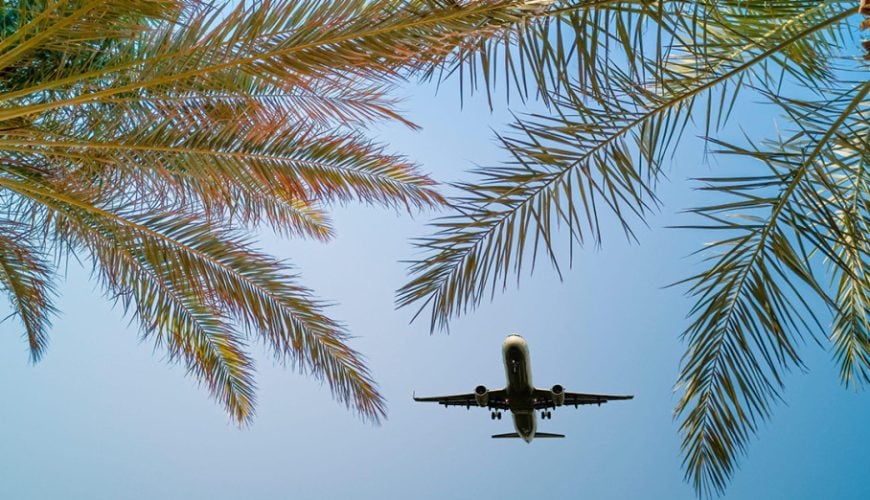 Book Flights Now or Wait