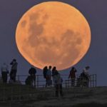 moonlight12