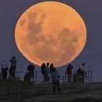 moonlight12